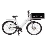 Delivery D1 E-Bike