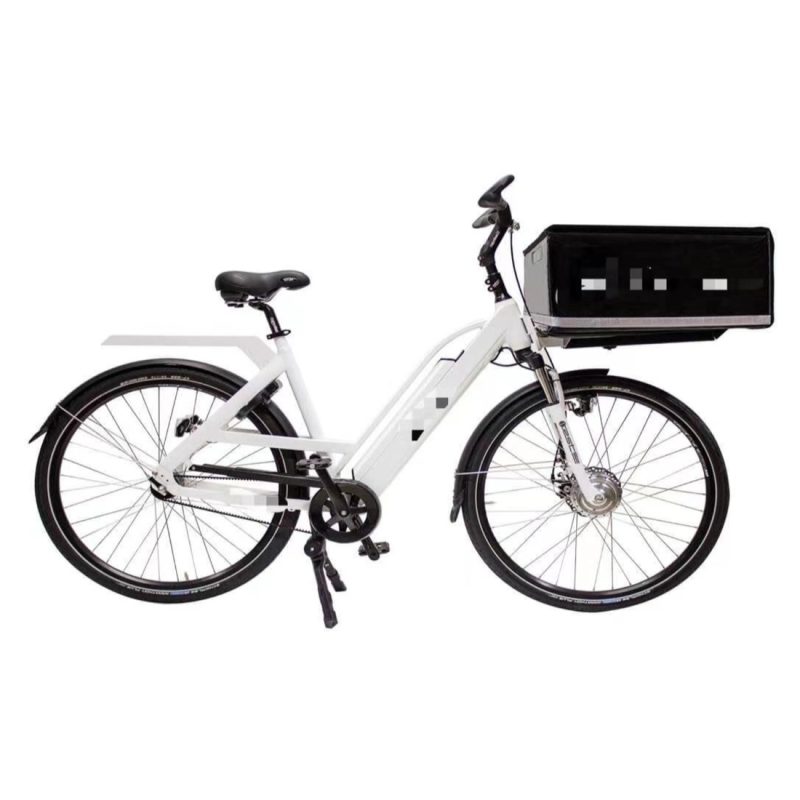 Delivery D1 E-Bike