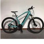 EMTB E1 E-Bike