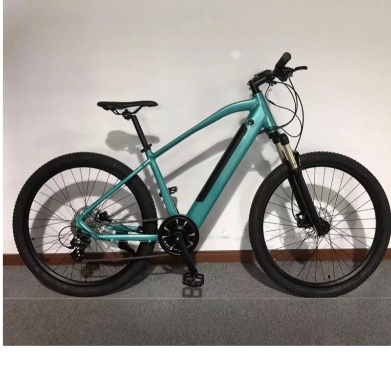 EMTB E1 E-Bike