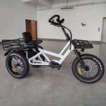 Cargo C2S E-Bike