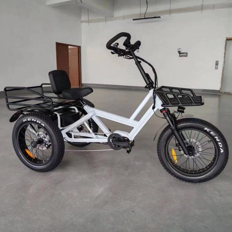 Cargo C2S E-Bike