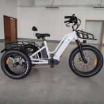 Cargo C3S E-Bike