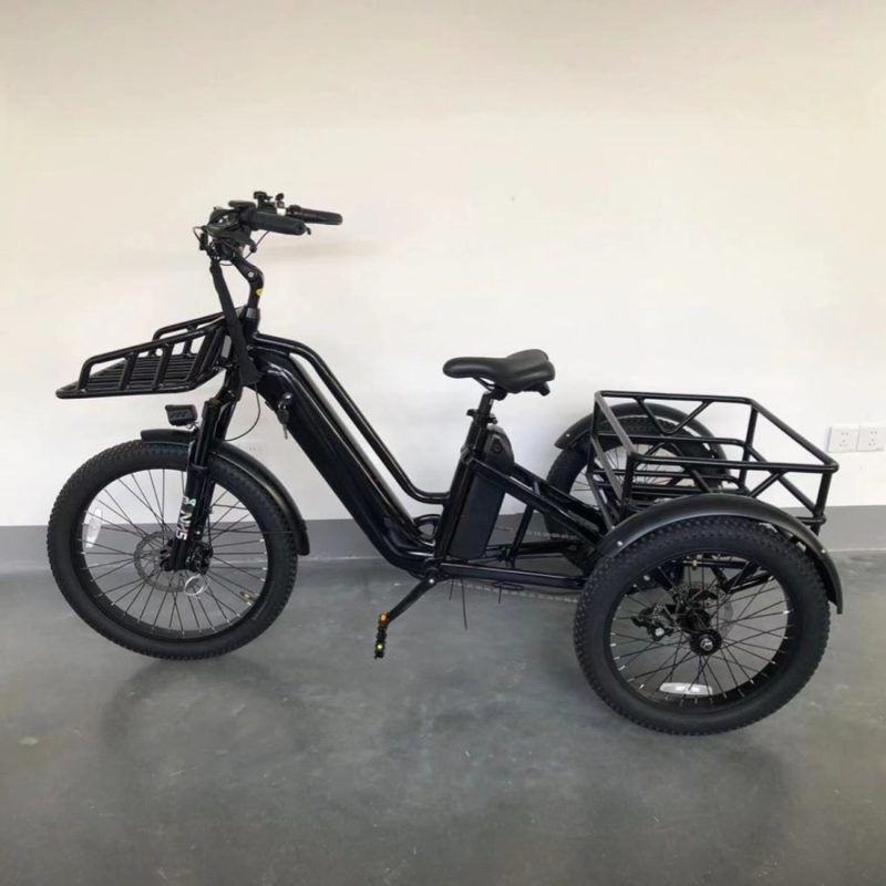 Cargo C5S E-Bike