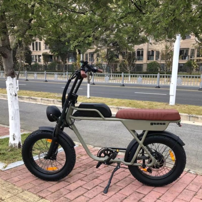 GT M1 E-Bike