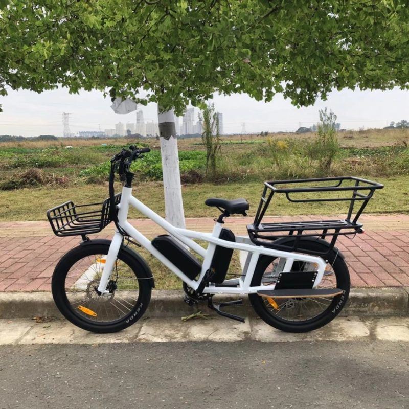 Cargo  minicargo-c1 E-bike